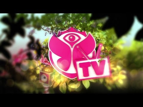 Tomorrowland Festival 2012 Video