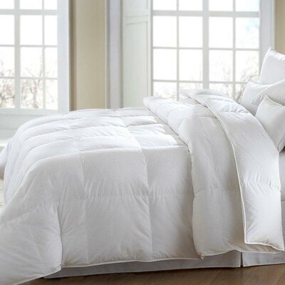 White Full Comforters